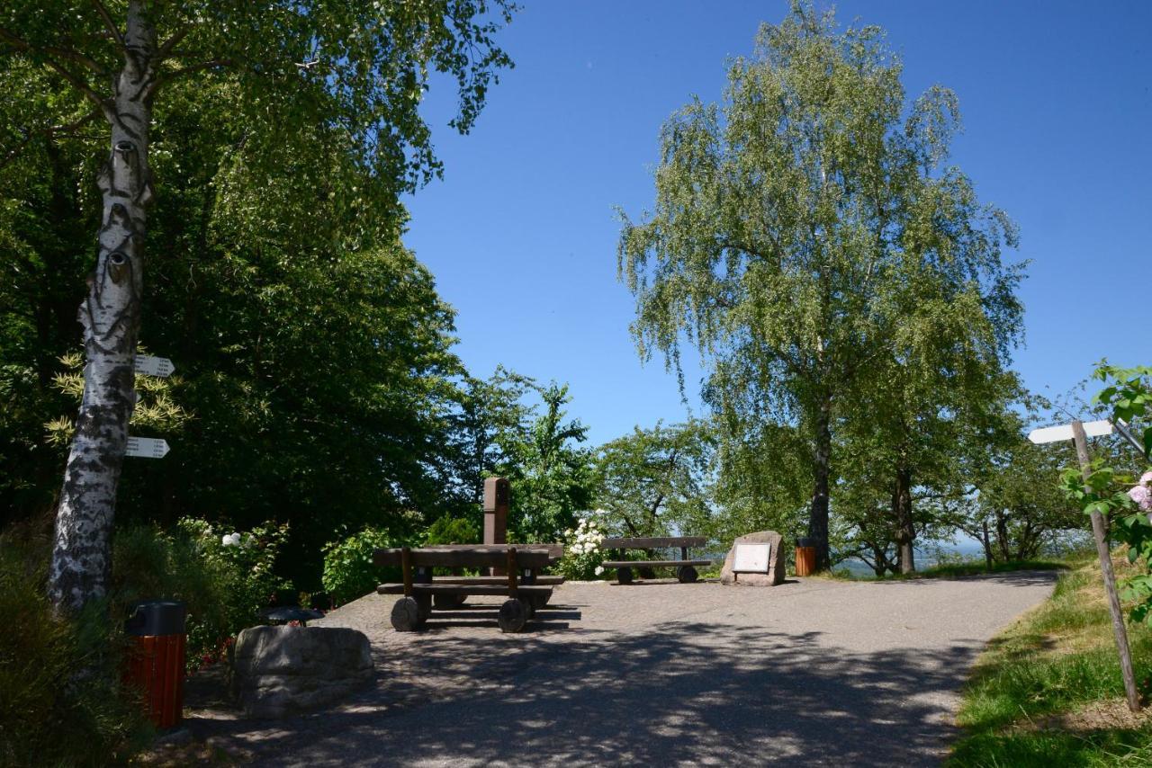 Residence Am Weinberg / Travellers Hotelbetriebs Gmbh Sasbachwalden Eksteriør billede
