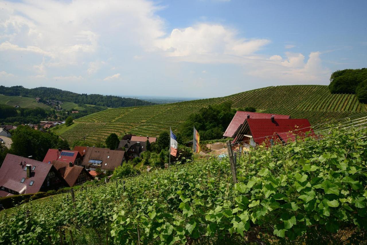 Residence Am Weinberg / Travellers Hotelbetriebs Gmbh Sasbachwalden Eksteriør billede