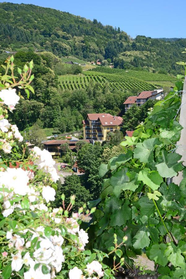 Residence Am Weinberg / Travellers Hotelbetriebs Gmbh Sasbachwalden Eksteriør billede
